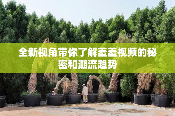 全新视角带你了解羞羞视频的秘密和潮流趋势