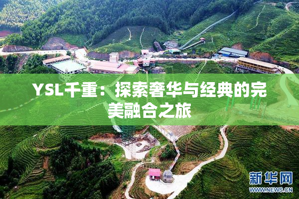 YSL千重：探索奢华与经典的完美融合之旅
