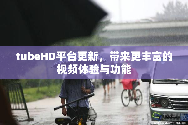 tubeHD平台更新，带来更丰富的视频体验与功能