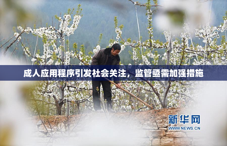 成人应用程序引发社会关注，监管亟需加强措施