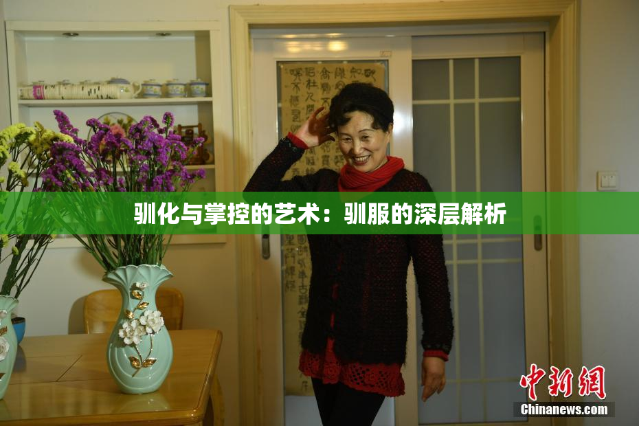 驯化与掌控的艺术：驯服的深层解析