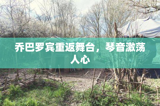 乔巴罗宾重返舞台，琴音激荡人心