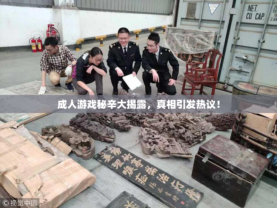 成人游戏秘辛大揭露，真相引发热议！