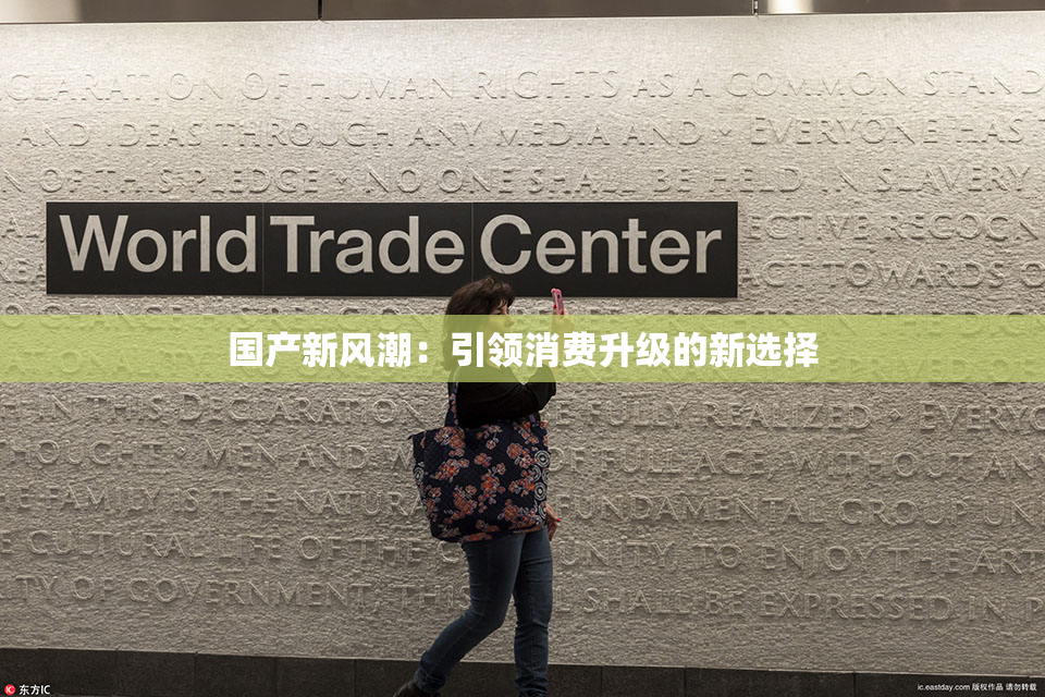 国产新风潮：引领消费升级的新选择