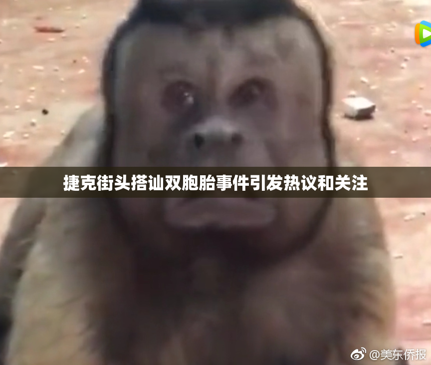 捷克街头搭讪双胞胎事件引发热议和关注