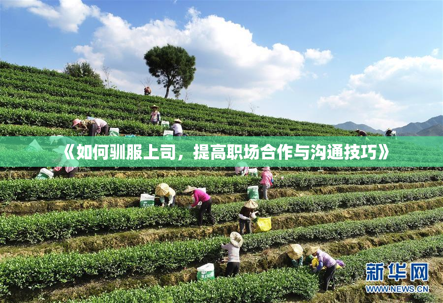 《如何驯服上司，提高职场合作与沟通技巧》