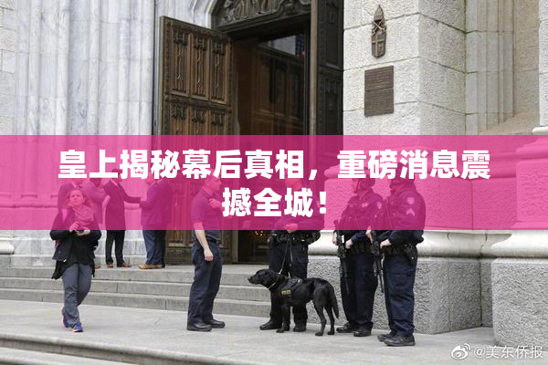 皇上揭秘幕后真相，重磅消息震撼全城！