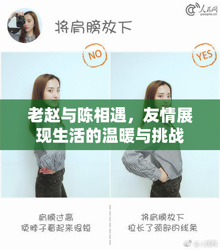 老赵与陈相遇，友情展现生活的温暖与挑战