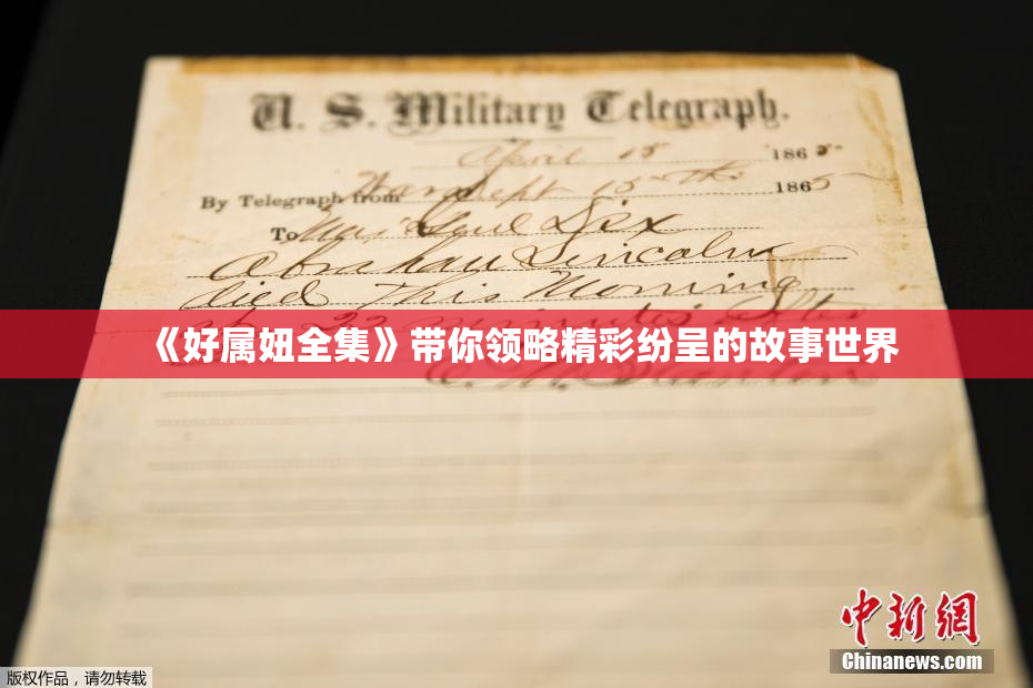 《好属妞全集》带你领略精彩纷呈的故事世界