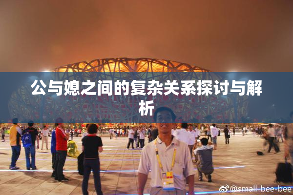 公与媳之间的复杂关系探讨与解析
