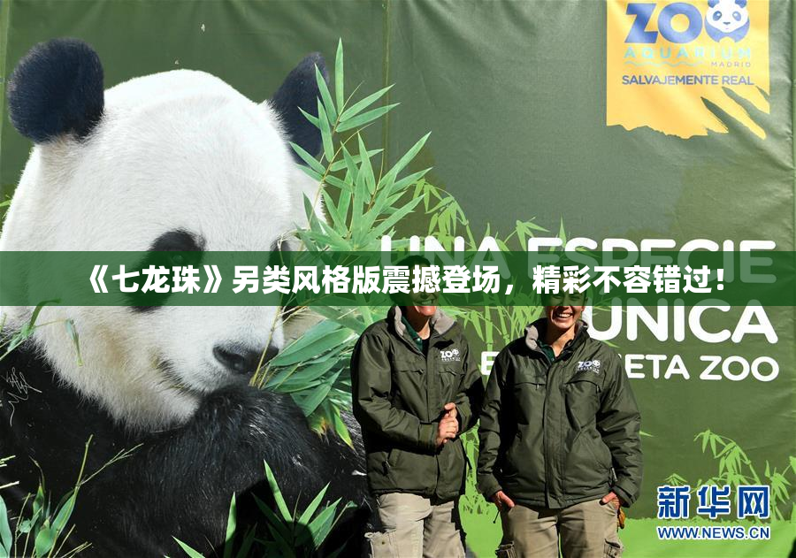 《七龙珠》另类风格版震撼登场，精彩不容错过！