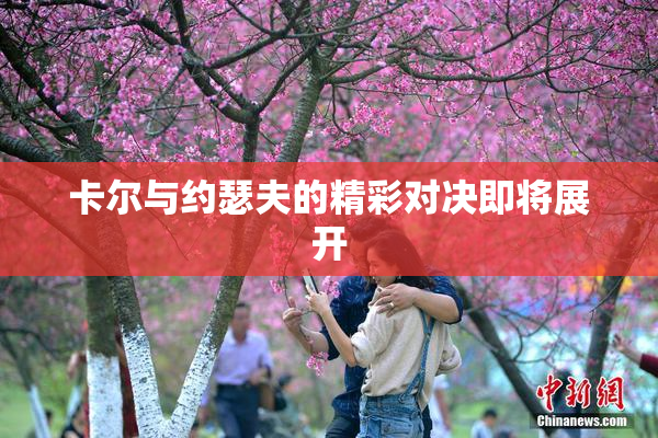 卡尔与约瑟夫的精彩对决即将展开