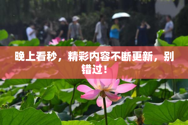 晚上看秒，精彩内容不断更新，别错过！