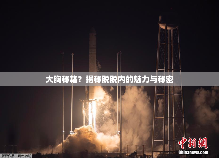 大胸秘籍？揭秘脱脱内的魅力与秘密