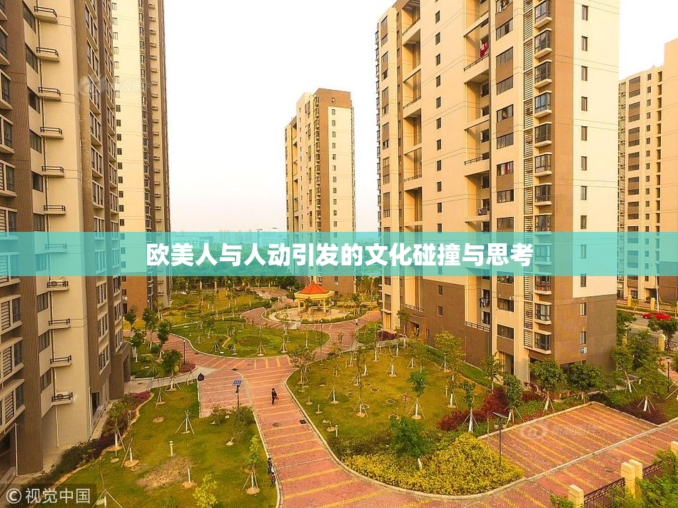 欧美人与人动引发的文化碰撞与思考