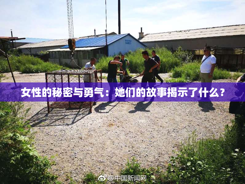 女性的秘密与勇气：她们的故事揭示了什么？