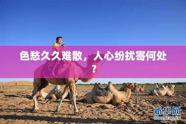 色愁久久难散，人心纷扰寄何处？