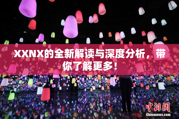 XXNX的全新解读与深度分析，带你了解更多！
