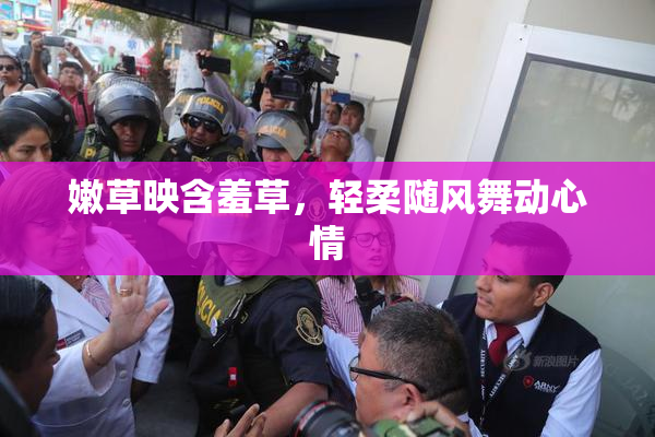 嫩草映含羞草，轻柔随风舞动心情