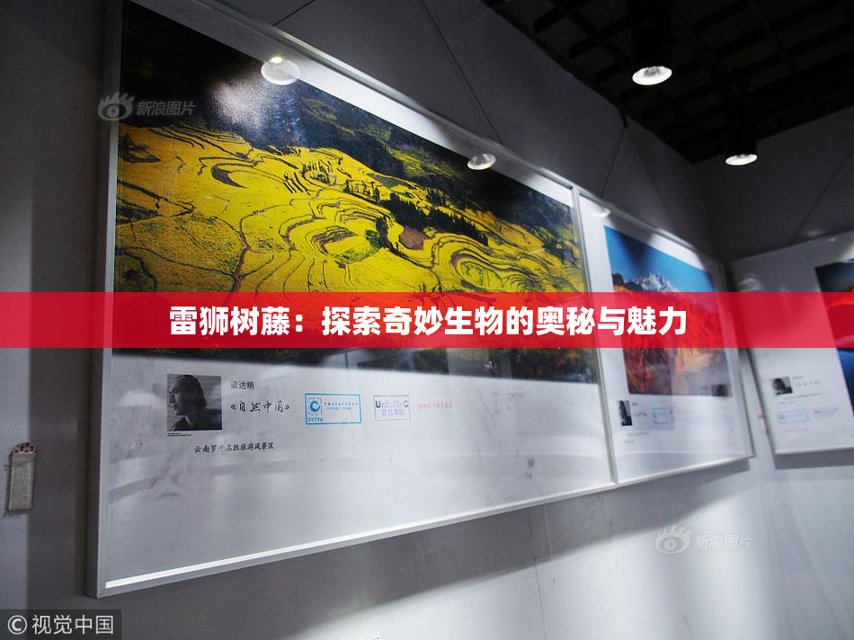 雷狮树藤：探索奇妙生物的奥秘与魅力
