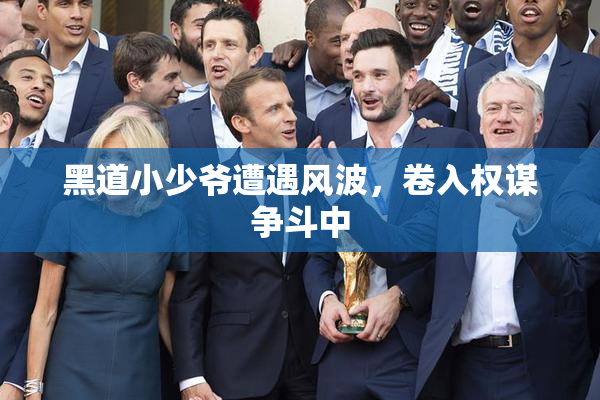 黑道小少爷遭遇风波，卷入权谋争斗中