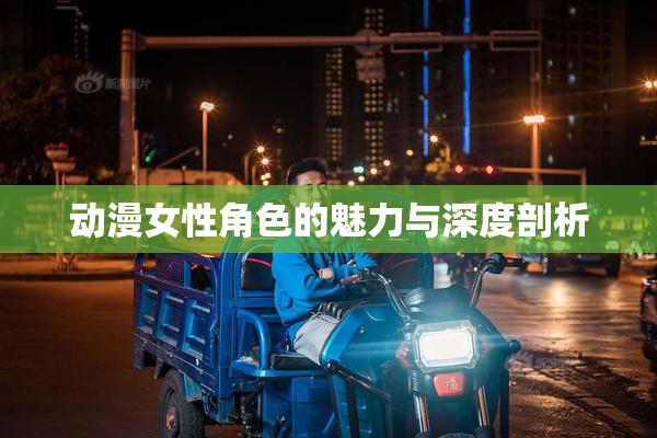 动漫女性角色的魅力与深度剖析