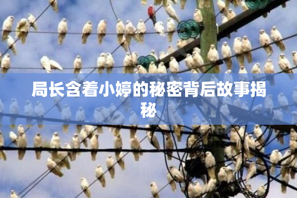 局长含着小婷的秘密背后故事揭秘