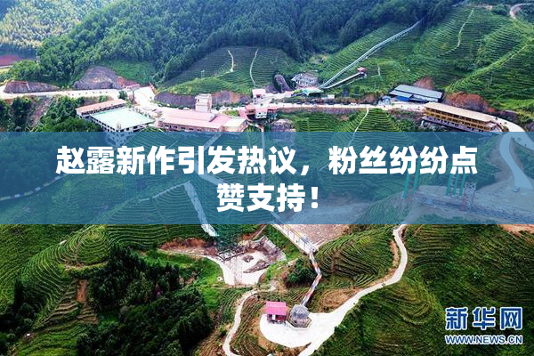 赵露新作引发热议，粉丝纷纷点赞支持！