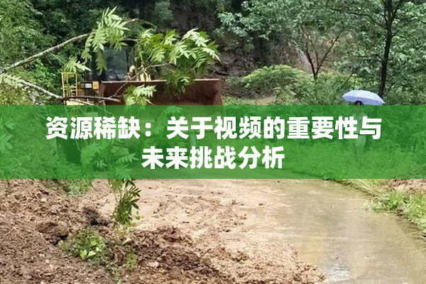 资源稀缺：关于视频的重要性与未来挑战分析