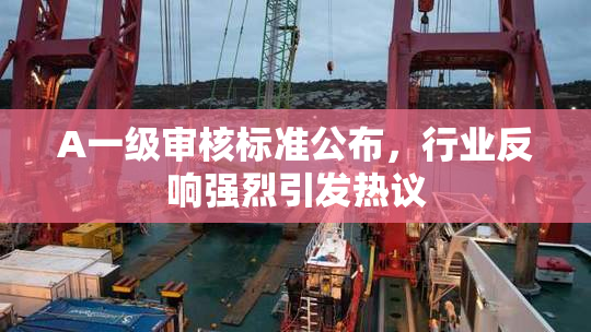 A一级审核标准公布，行业反响强烈引发热议
