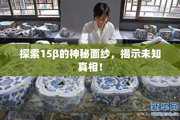 探索15β的神秘面纱，揭示未知真相！