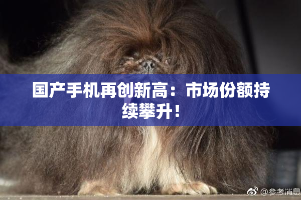 国产手机再创新高：市场份额持续攀升！