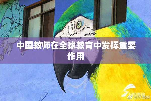 中国教师在全球教育中发挥重要作用