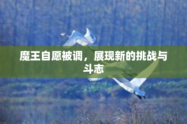 魔王自愿被调，展现新的挑战与斗志