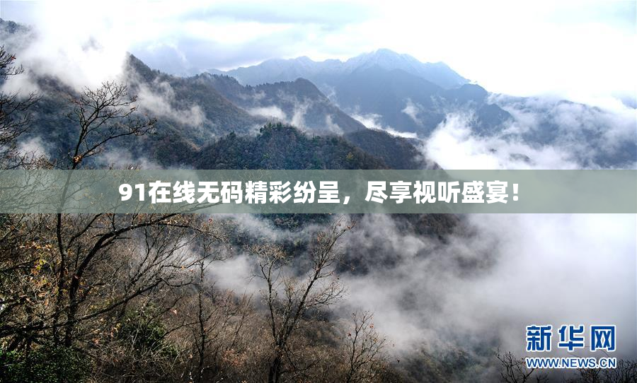 91在线无码精彩纷呈，尽享视听盛宴！