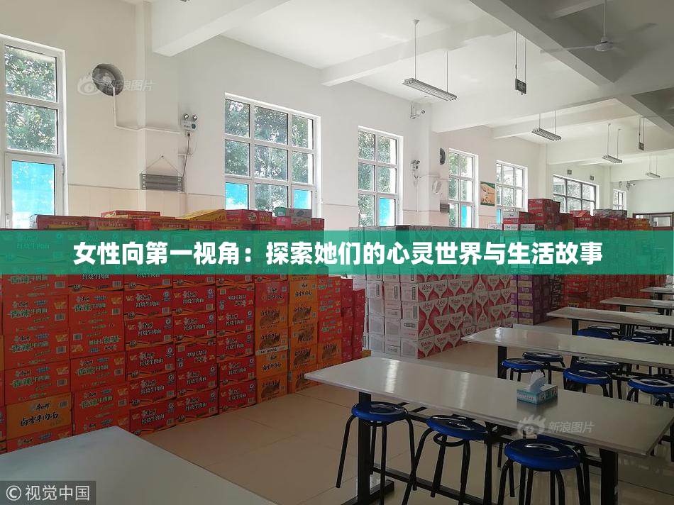 女性向第一视角：探索她们的心灵世界与生活故事