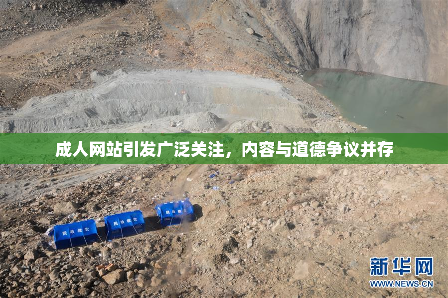 成人网站引发广泛关注，内容与道德争议并存
