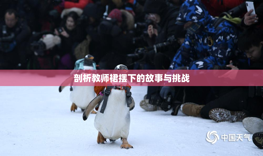 剖析教师裙摆下的故事与挑战