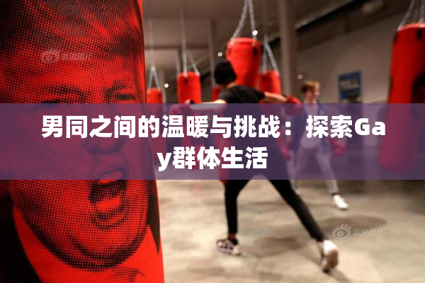 男同之间的温暖与挑战：探索Gay群体生活