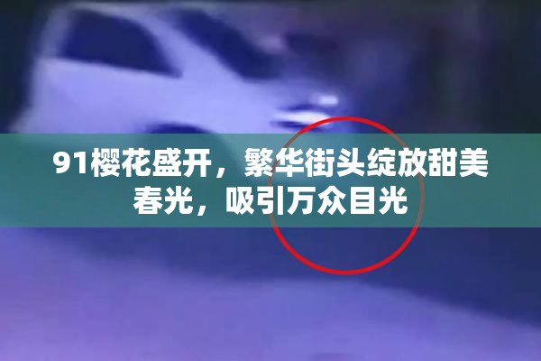 91樱花盛开，繁华街头绽放甜美春光，吸引万众目光