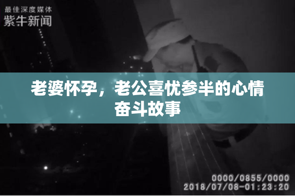 老婆怀孕，老公喜忧参半的心情奋斗故事