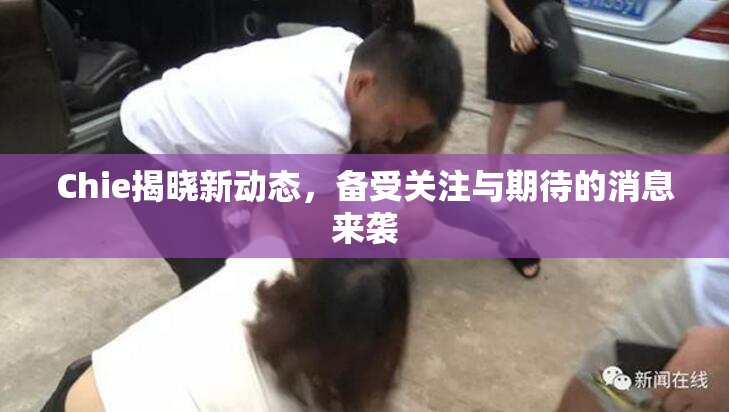 Chie揭晓新动态，备受关注与期待的消息来袭