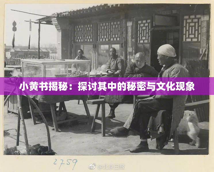 小黄书揭秘：探讨其中的秘密与文化现象