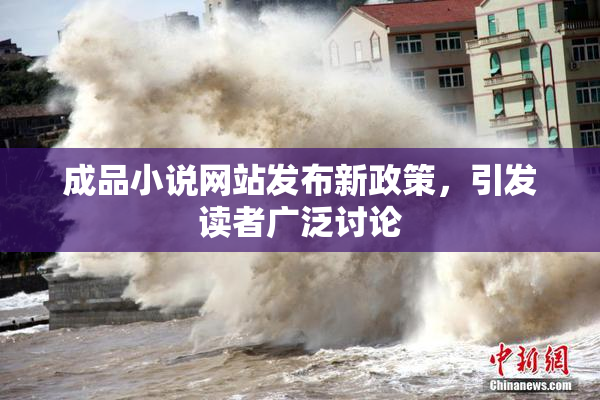 成品小说网站发布新政策，引发读者广泛讨论