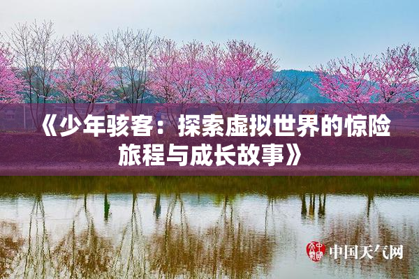 《少年骇客：探索虚拟世界的惊险旅程与成长故事》