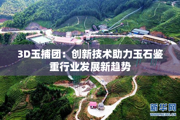 3D玉捕团：创新技术助力玉石鉴重行业发展新趋势