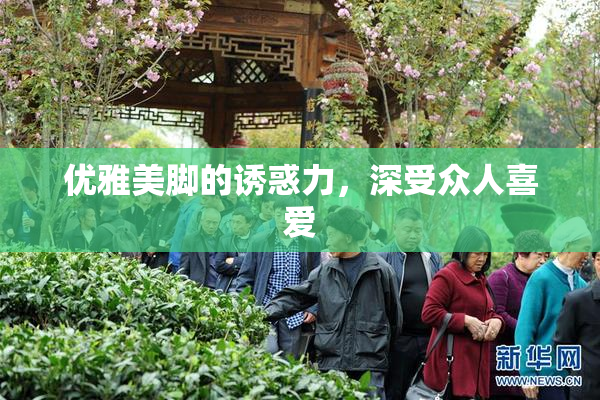 优雅美脚的诱惑力，深受众人喜爱