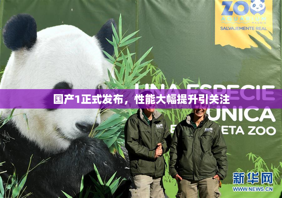 国产1正式发布，性能大幅提升引关注