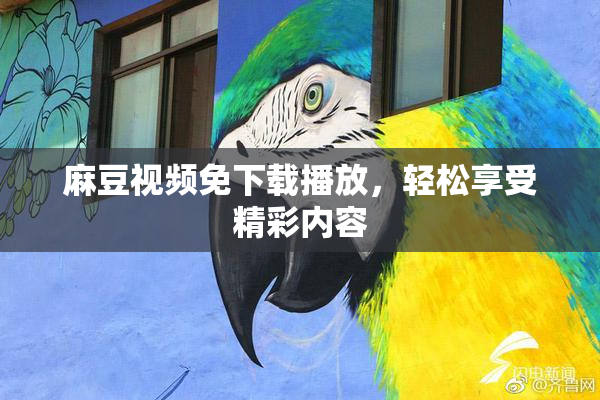 麻豆视频免下载播放，轻松享受精彩内容