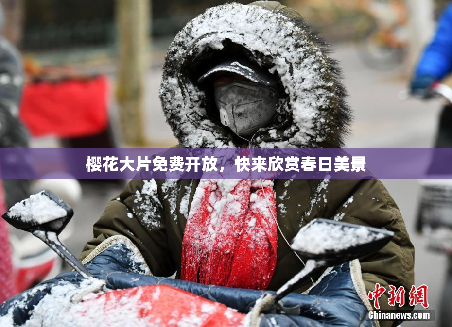 樱花大片免费开放，快来欣赏春日美景